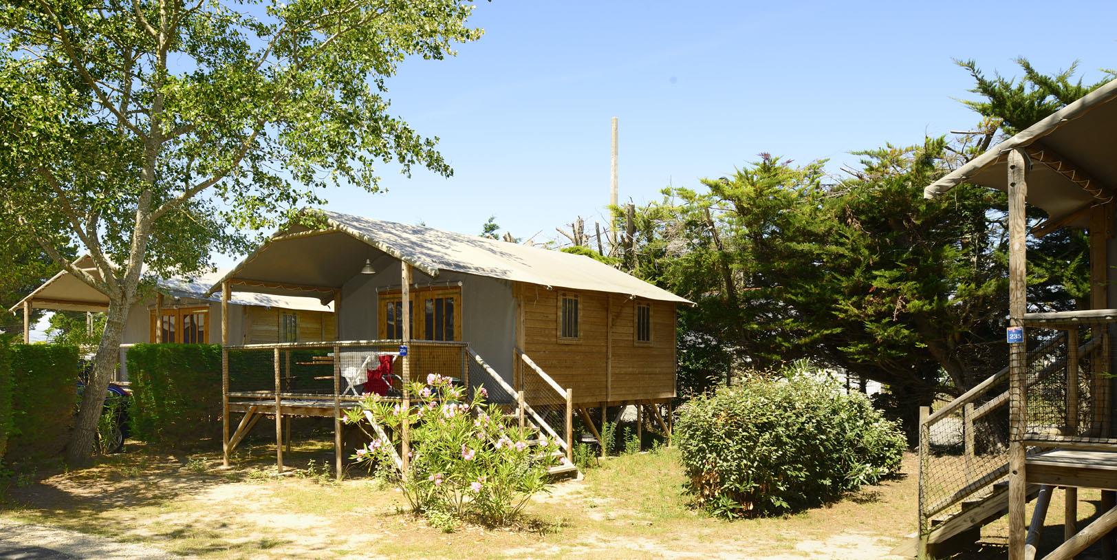 Cabane Lodge Bois sur pilotis Confort 38m² (2 chambres) dont terrasse couverte de 8m²